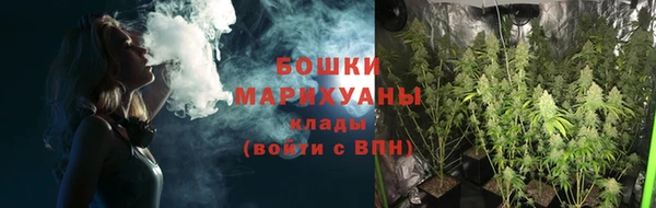 spice Абаза