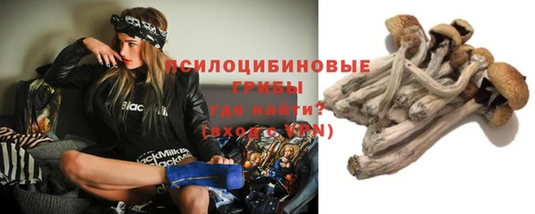 гидра Абдулино