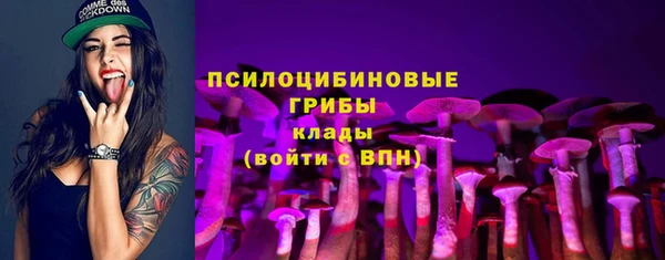 гидра Абдулино