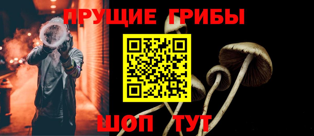 как найти закладки  Галлюциногенные грибы Magic Shrooms  Вход с VPN  Братск 